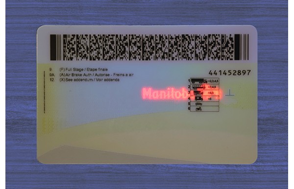 Manitoba ID (2026 Version)