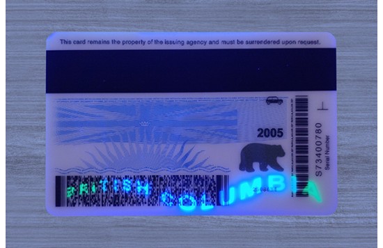 British Columbia Fake id front side