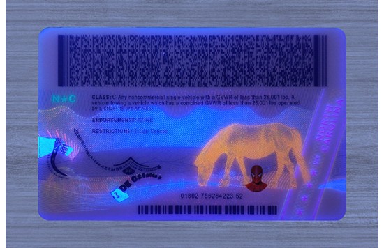 North Carolina IDs (2025 Version)