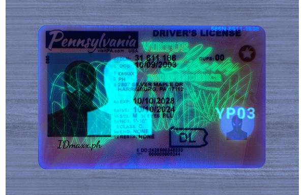 Pennsylvania Dirvers Licence (2025 Version)