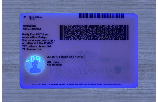 Pennsylvania Dirvers Licence (2025 Version)