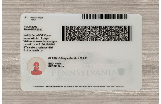 Pennsylvania Dirvers Licence (2025 Version)
