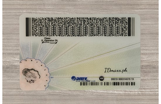 Virginia Dirvers Licence (2025 Version)