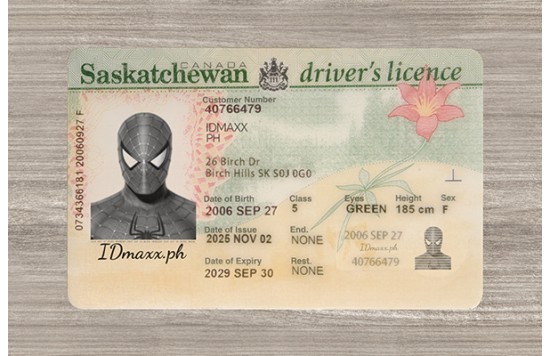 Saskatchewan Dirvers Licence