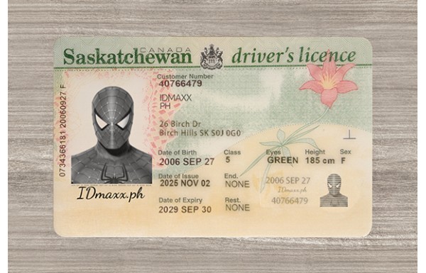 Saskatchewan Dirvers Licence