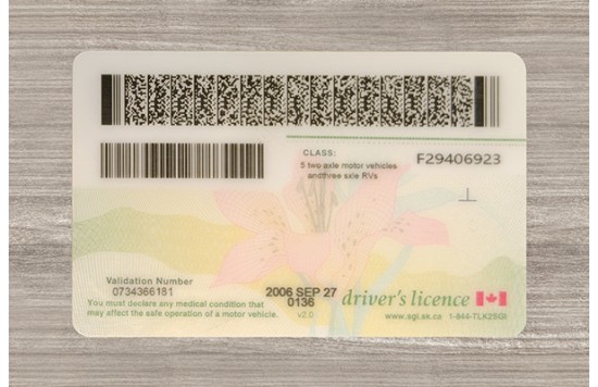 Saskatchewan Dirvers Licence