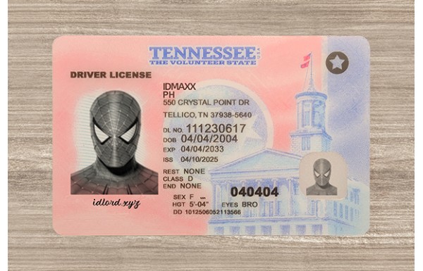 Tennessee Dirvers Licence (2025 version)