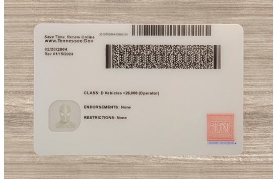 Tennessee Dirvers Licence (2025 version)