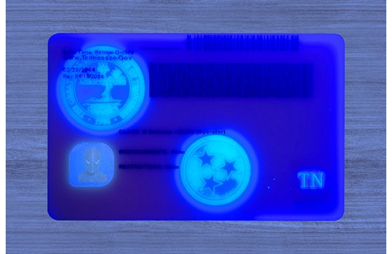 Tennessee Dirvers Licence (2025 version)