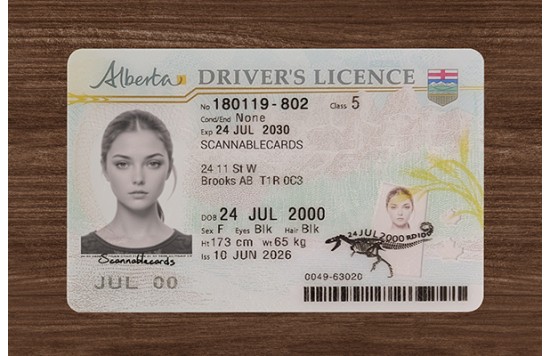 Alberta Driver’s Licence