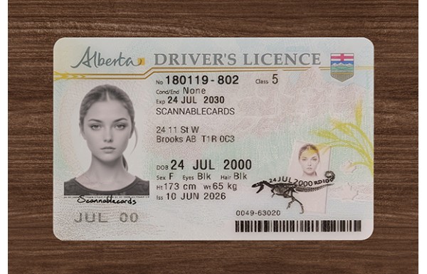 Alberta Driver’s Licence