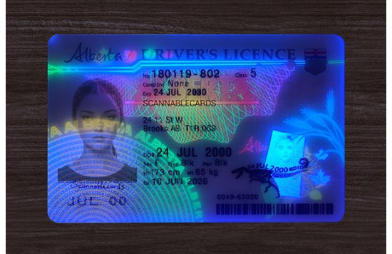Alberta Driver’s Licence