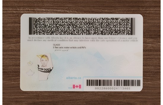 Alberta Driver’s Licence