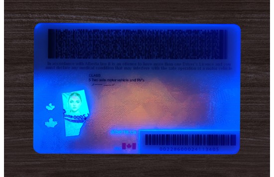 Alberta Driver’s Licence
