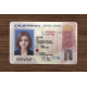 California IDs (2026 Version)