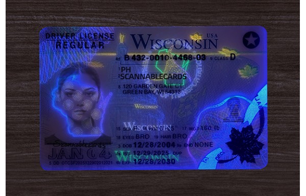 Wisconsin DL (2026 Version)