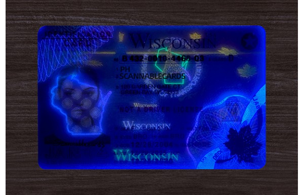 Wisconsin ID (2026 Version)