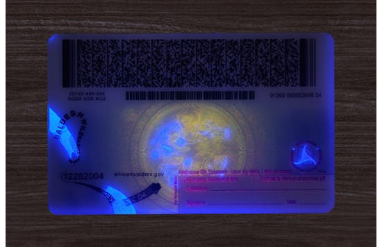 Wisconsin ID (2026 Version)