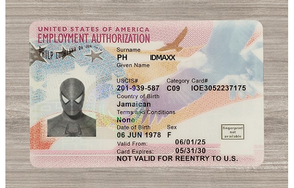 Employment Authorization Card