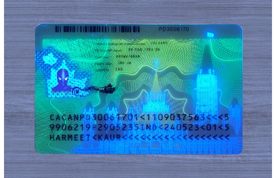 Canada PR (2025 Version)