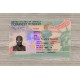 Green Card Fake id front side