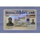 British Columbia Fake id front side