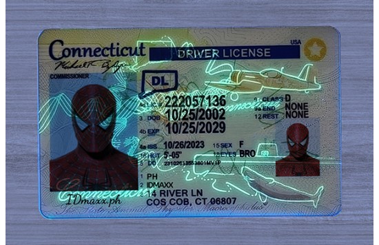 Connecticut Fake id front side