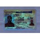 Connecticut Fake id front side