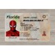 Florida Fake id front side