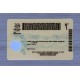 Florida Fake id front side