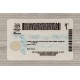 Florida Fake id front side