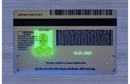 Michigan Fake id front side