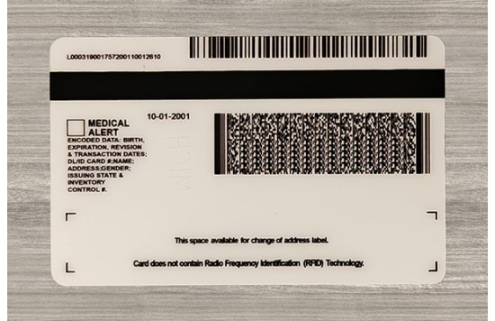 Michigan Fake id front side