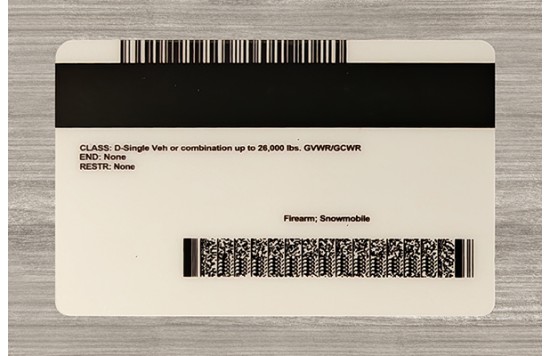 Minnesota Fake id front side