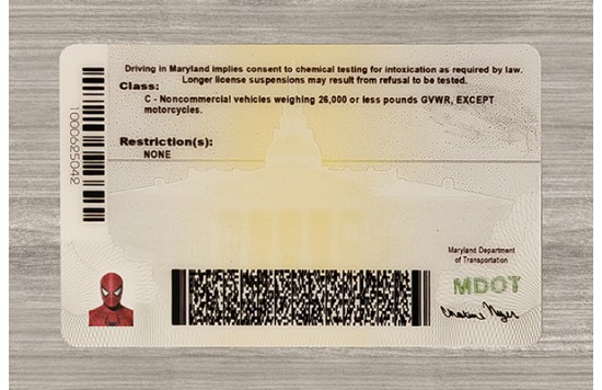 Maryland Fake id front side