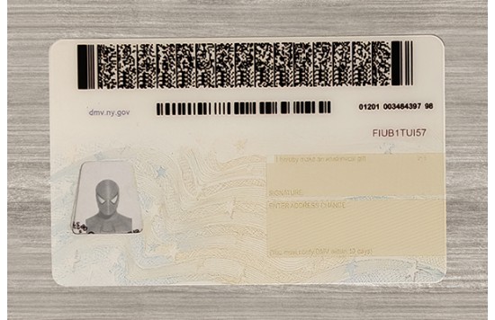 New York Fake id front side
