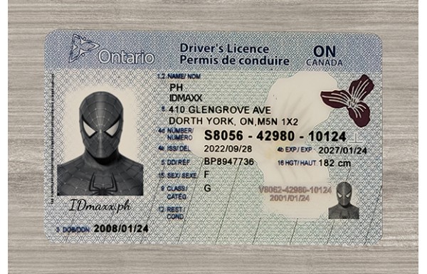 Ontario Dirvers Licence (2025 version)