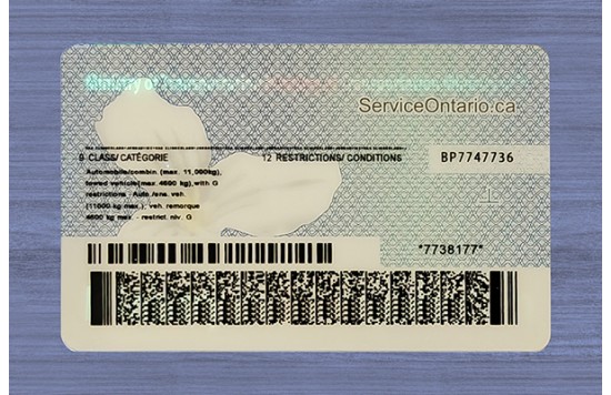 Ontario Fake id front side