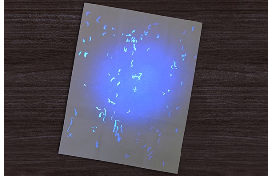 Iowa Birth Certificate